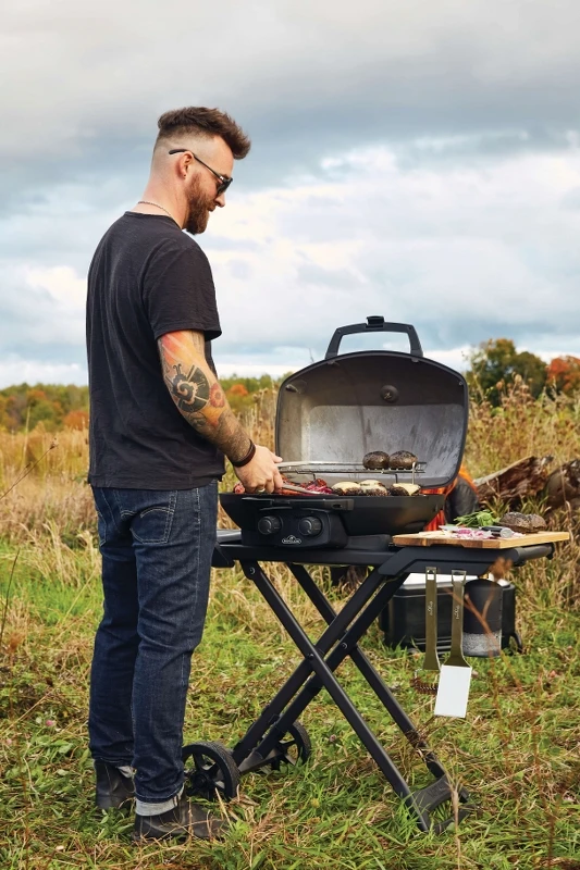 PHANTOM TRAVELQ® PRO 285 - immagine 4